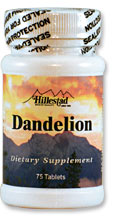 Dandelion