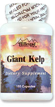 Giant Kelp - 2558