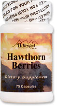 Hawthorn Berries