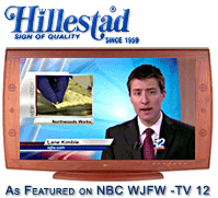 Hillestad TV-12 news spot